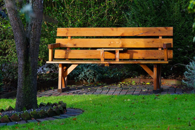 Bench in Yard